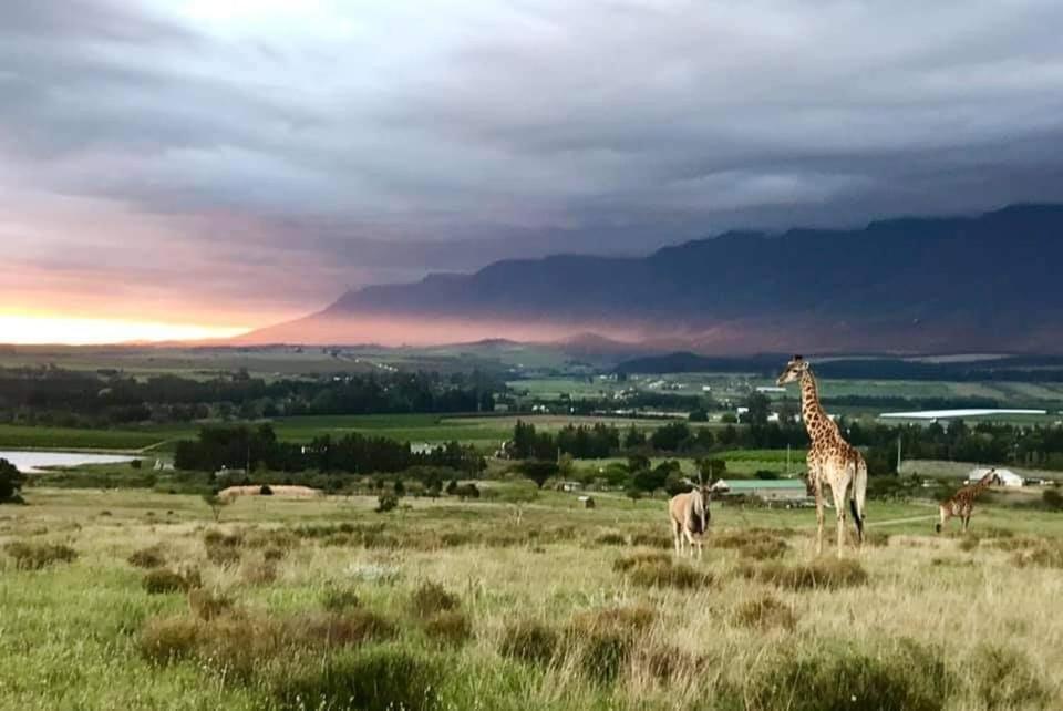 Villa Kwetu Guest Farm Swellendam Exterior foto